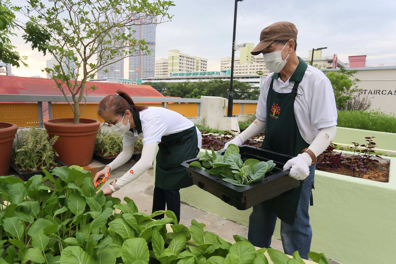 Image shows community helping out with the planting and maintenance of the greenery